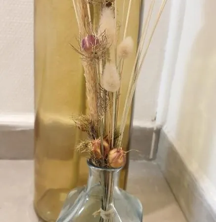 Maison A Deux Pas De L'hotel De * Calais